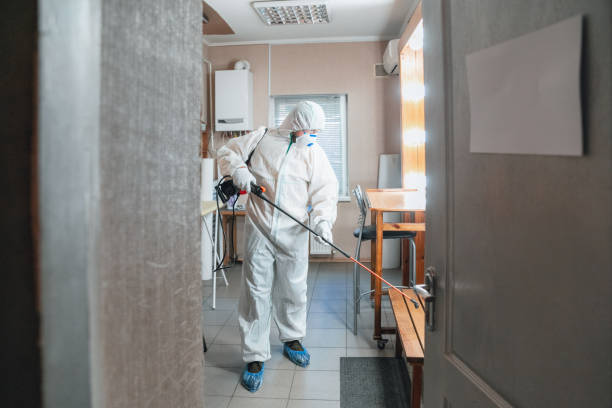 Best Commercial Mold Inspection  in Nanawale Estates, HI